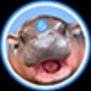 سودنگ HIPPO