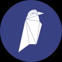 ریوکوین RVN