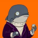 ایلیتی ILY